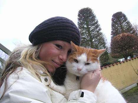 Huskat Kipper - Kipper billede 9