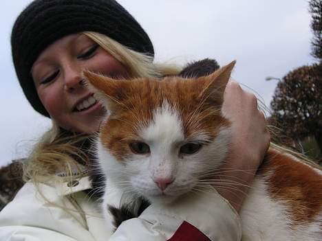 Huskat Kipper - åhh nej, endnu en krammer på vej, lad mig komme væk!!! billede 10