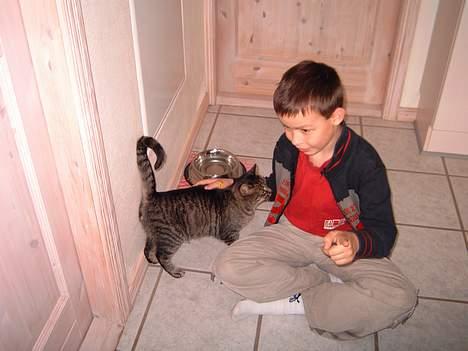 Blanding af racer hilmer - giver du lidt mad billede 3