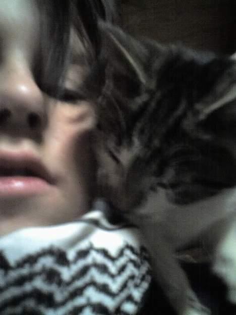 Huskat Gigi - Ja jeg ser dum ud, men katten er da sød ? (: billede 7