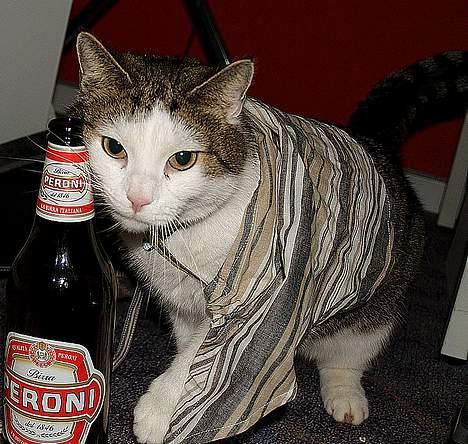 Huskat Leif - Leif er glad for mange ting billede 2