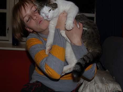 Huskat Leif billede 4