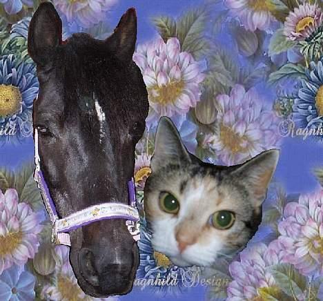 Huskat Rise - Uuh :o)  miig og mors hest Bella! :D    Nuts? =D billede 14