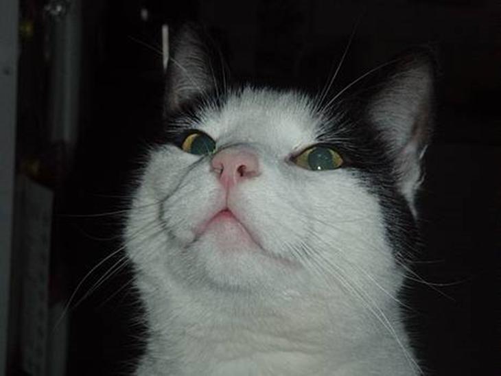 {{currentPhoto.altText}} billede {{currentPhoto.number}}