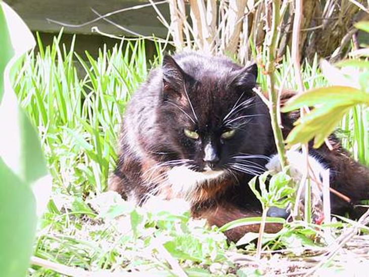 {{currentPhoto.altText}} billede {{currentPhoto.number}}