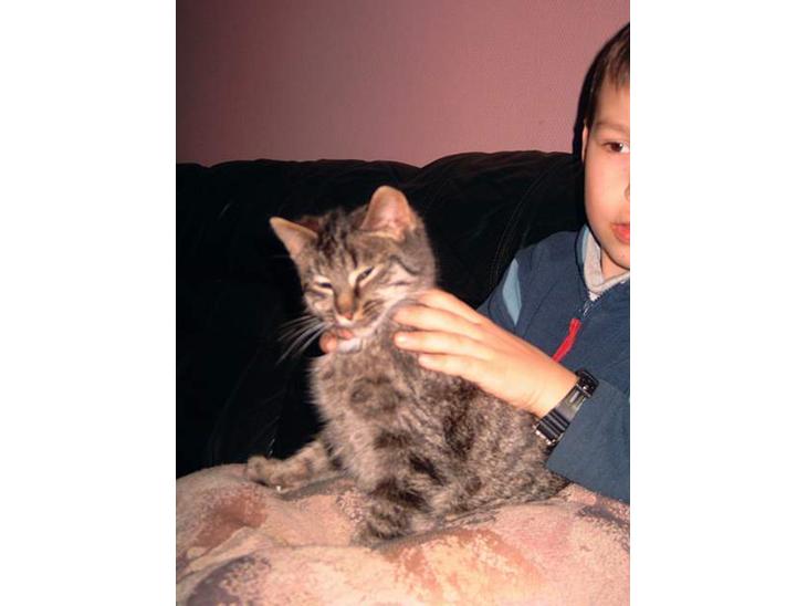 {{currentPhoto.altText}} billede {{currentPhoto.number}}