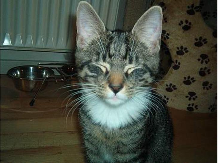 {{currentPhoto.altText}} billede {{currentPhoto.number}}