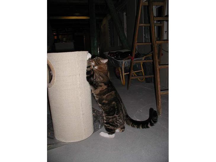 {{currentPhoto.altText}} billede {{currentPhoto.number}}