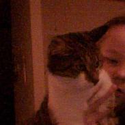 Blanding af racer Freja