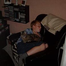 Blanding af racer Felix