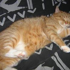 Huskat Fie Bor hos exkæresten.