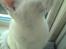 Blanding af racer NimNim R.I.P