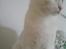 Blanding af racer NimNim R.I.P