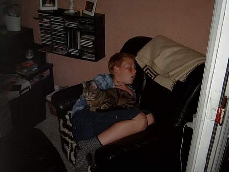 Blanding af racer Felix - ZzzZ... Kasper Og Felix tager lige en lille lur xP billede 2