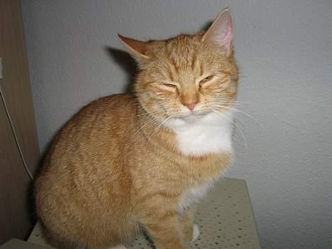 Huskat Fie Bor hos exkæresten. - Nej her kunne jeg godt tage en slapper.... billede 2