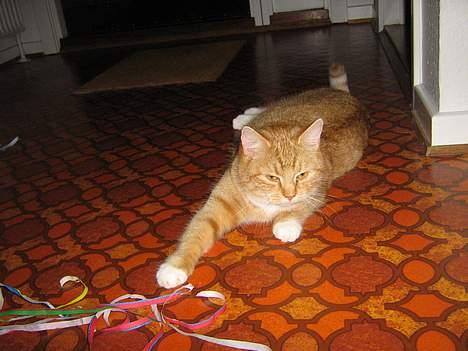 Huskat Fie Bor hos exkæresten. - Nu skal jeg bare se doven ud....... billede 5