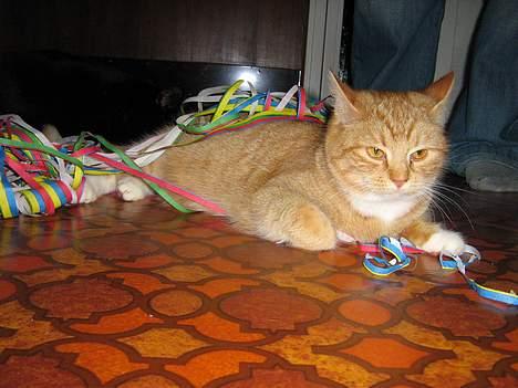 Huskat Fie Bor hos exkæresten. - Hun blir hel vild.......... billede 6