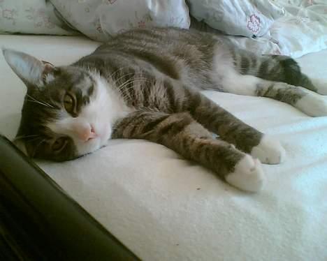 Huskat Lille Thomas - Mor hold nu op, jeg putter altså! billede 1