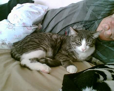 Huskat Lille Thomas - Lidt mere sofahygge med far! billede 3