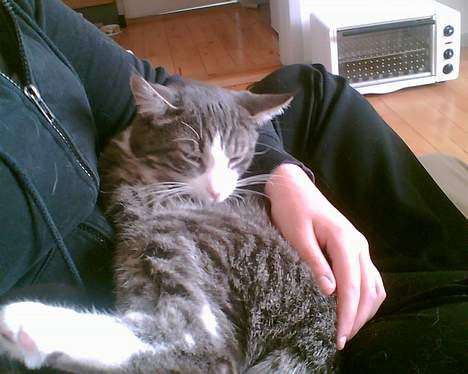 Huskat Lille Thomas - Mors baby! billede 4