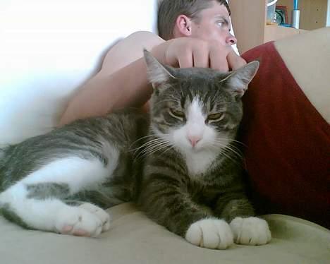 Huskat Lille Thomas - Jeg ved godt jeg er dejlig! billede 6