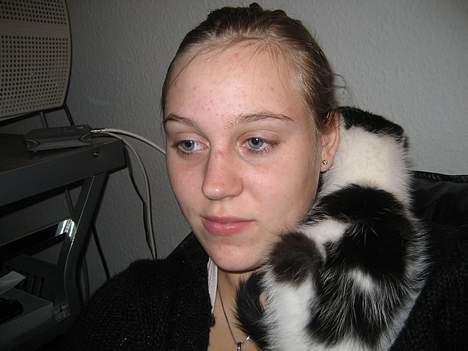 Huskat LilleMis - Hyggestund billede 6