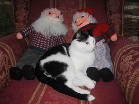 Blanding af racer Herbert den Lille * RIP * billede 14