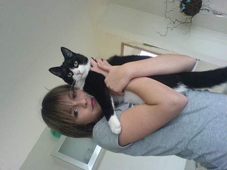 Huskat Elvis. død d. 2. aug - 08 billede 12