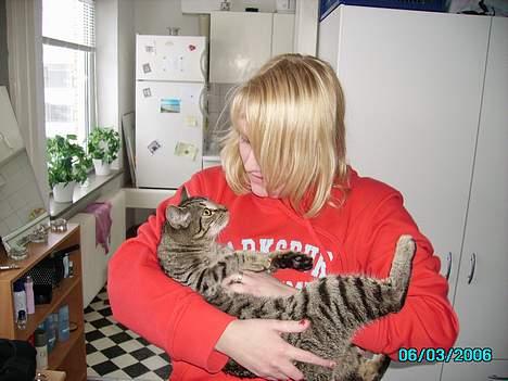 Huskat Laban billede 4