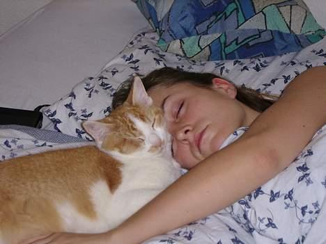 Huskat Nano - Putter med mor... Så hyggeligt! Her er jeg 5 måneder gammel. billede 5