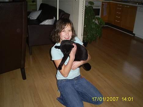 Huskat pjuske - Nogen gange kan det godt blive for meget med det der nusserri.... billede 6