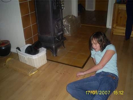 Huskat pjuske - Pjske vil næste kun sove billede 9