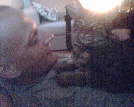 Blanding af racer Chubbc - Putter med far. billede 2