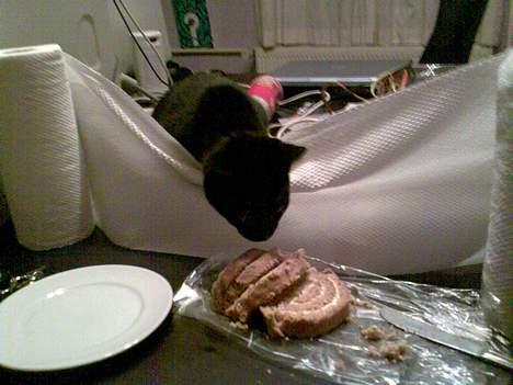 Huskat Mille - Skal jeg ikke lige smage det der??? billede 4