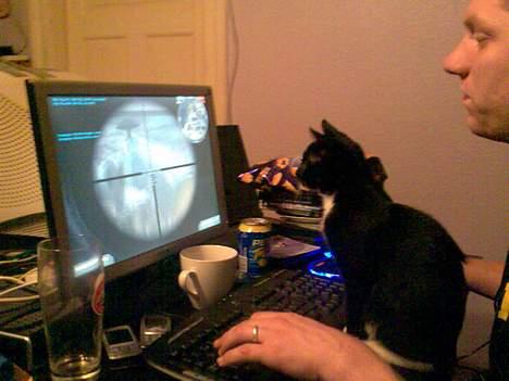 Huskat Mille - Det ser sjovt ud... Må jeg også prøve??? billede 5