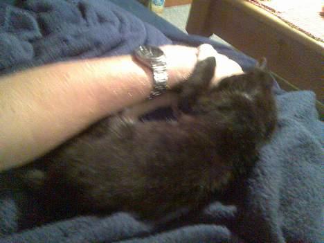 Huskat Mille - Du bliver bare her mens jeg sover... hehe billede 7