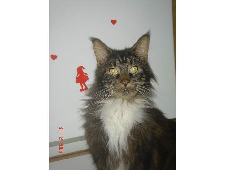 {{currentPhoto.altText}} billede {{currentPhoto.number}}