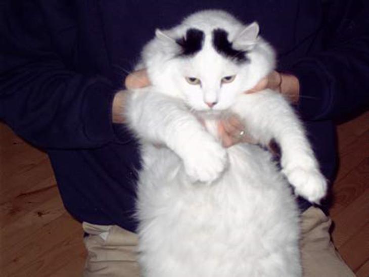 {{currentPhoto.altText}} billede {{currentPhoto.number}}