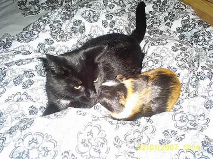 {{currentPhoto.altText}} billede {{currentPhoto.number}}