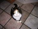 Huskat Modig(:'<33 *R.I.P':(*