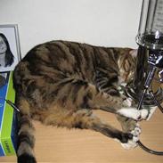 Blanding af racer Stoffer