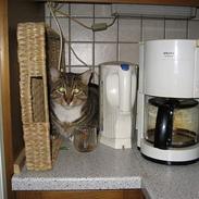 Blanding af racer Stoffer