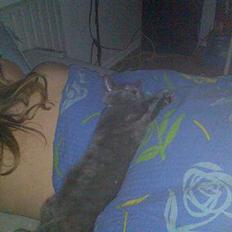 Blanding af racer Tumle R.I.P