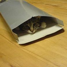 Blanding af racer Quark - FORSVUNDET