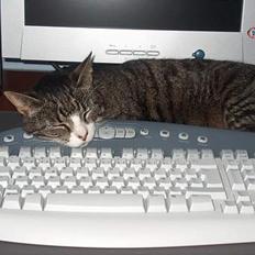 Huskat tilde; R.I.P. savn<3