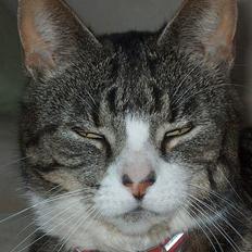 Huskat tilde; R.I.P. savn<3