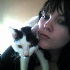 Huskat **Basse** [ himmelkat ]