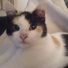 Huskat prinsess Borte :-(