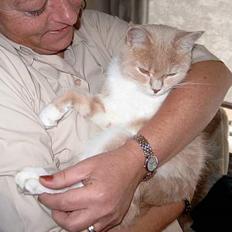 Blanding af racer Duchesse