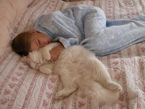 Maine Coon Al - Mig (rimeligt yngre) med missen.d: billede 2